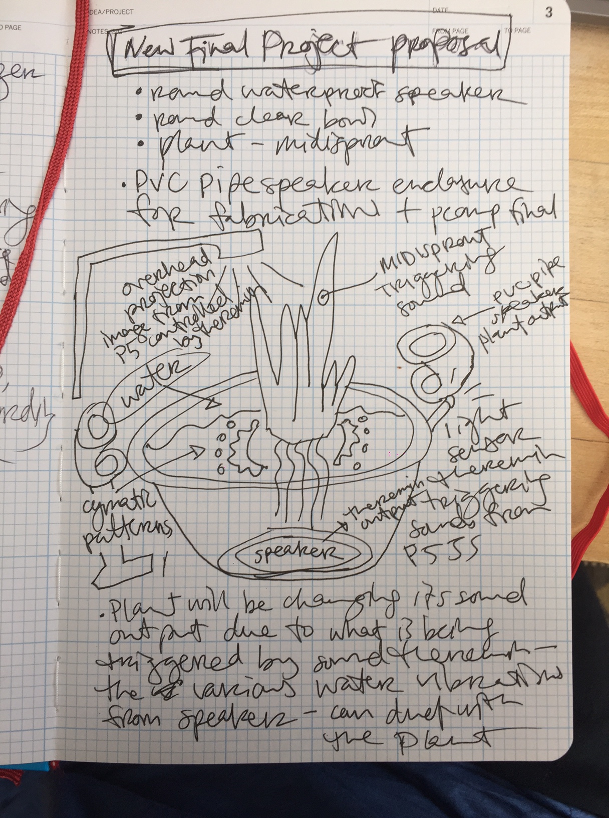 PComp ICM Final Update – Plant-Water/You Duet – Void Bubble ITP