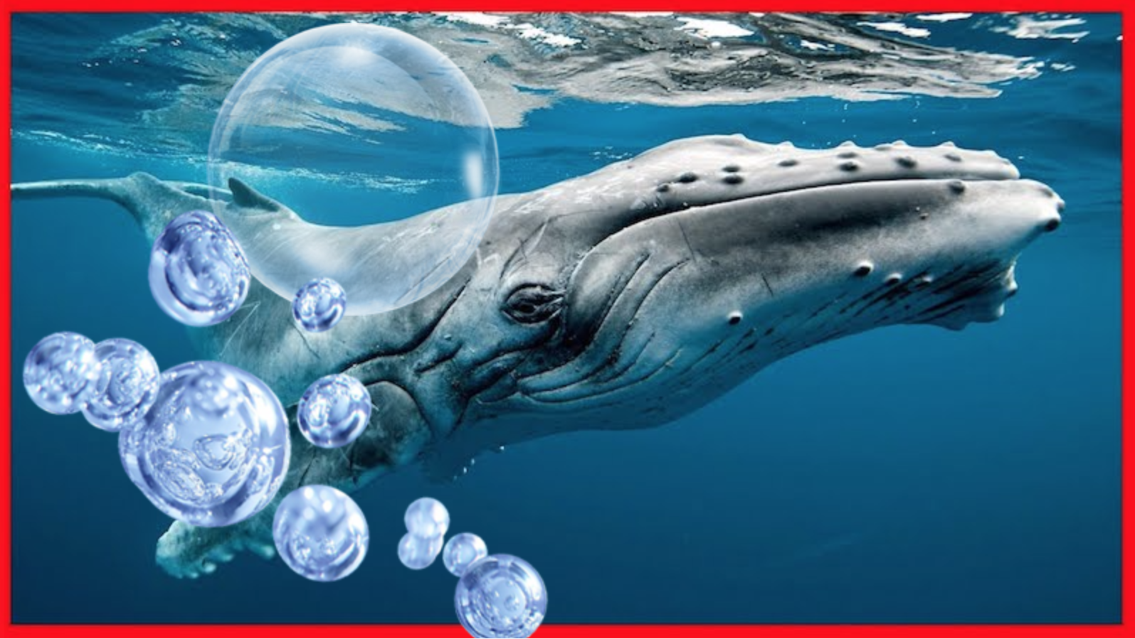 ICM Final Proposal – Whale Song Sensory Integration – Void Bubble ITP
