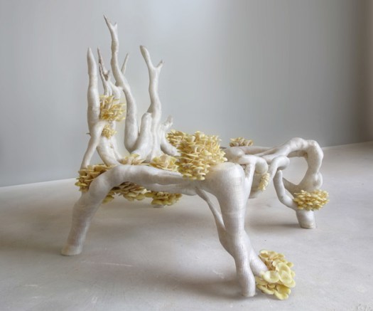 myceliumchair.jpg(mediaclass-landscape-large.1df3d6f438769113d26ed8577bc84d61afea2a7e)