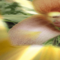 Live Image Processing & Performance – Void Bubble ITP